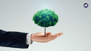 Entrate passive: mito o realt�? Come costruirle davvero